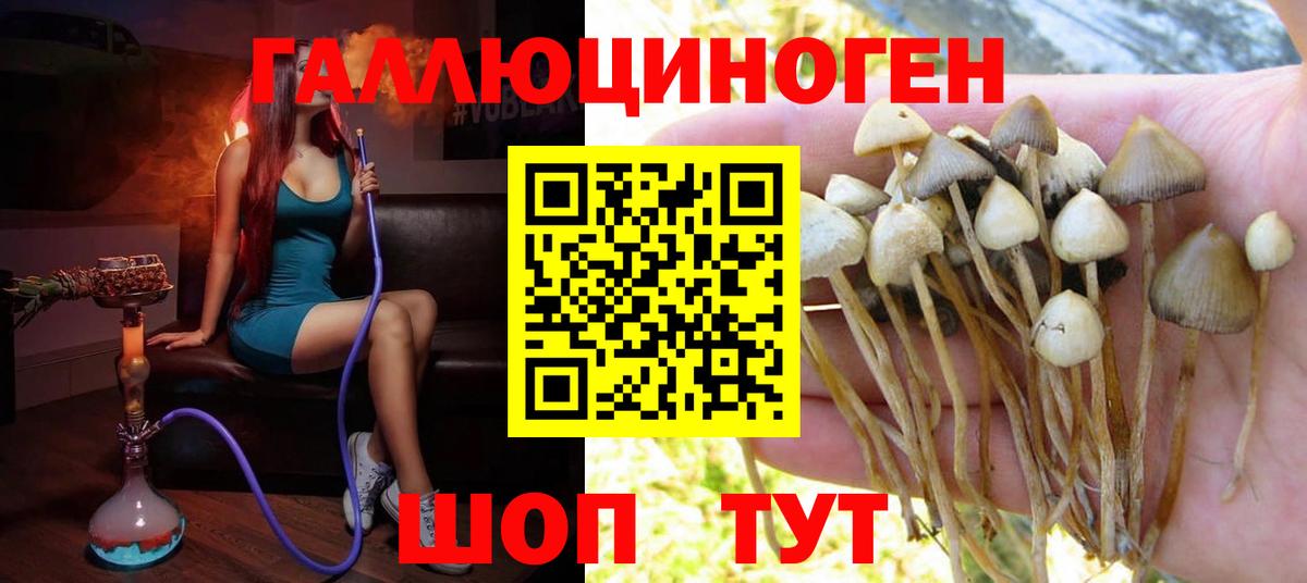 Азов  Псилоцибиновые грибы прущие грибы  закладка  Вход с VPN 